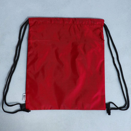 Сумка для обуви Кеды, 2 секции, 41х31 см - Artfox study фото 9