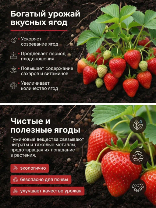 ФЕРТИКА ОМУ Клубника и земляника 2,5 кг (10 шт./упак.) - Fertika фото 2