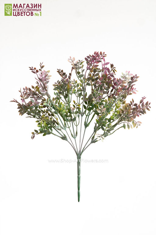 103 Листья фисташки, куст - Без тм фото 14