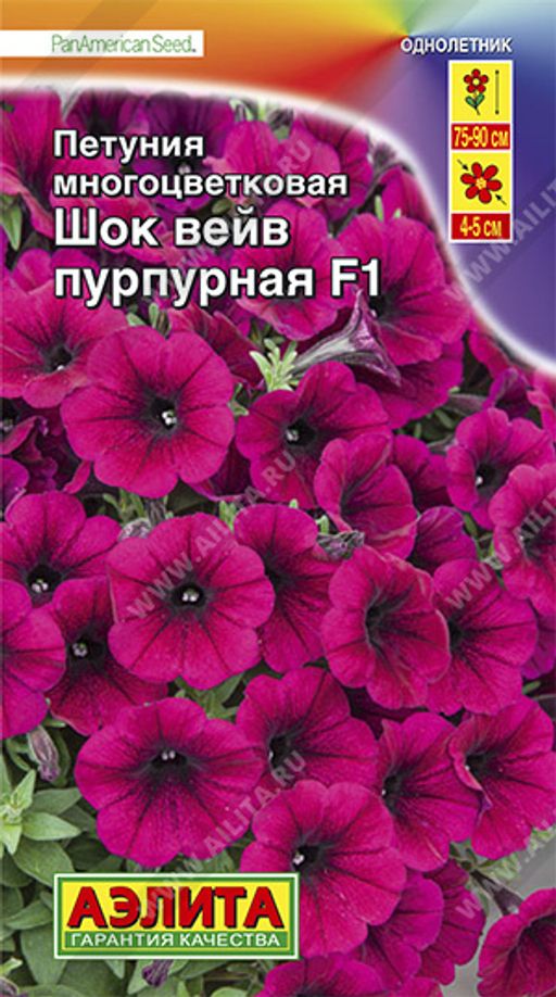 Петуния Шок вейв F1 пурпурная (2023; 161.622.06)