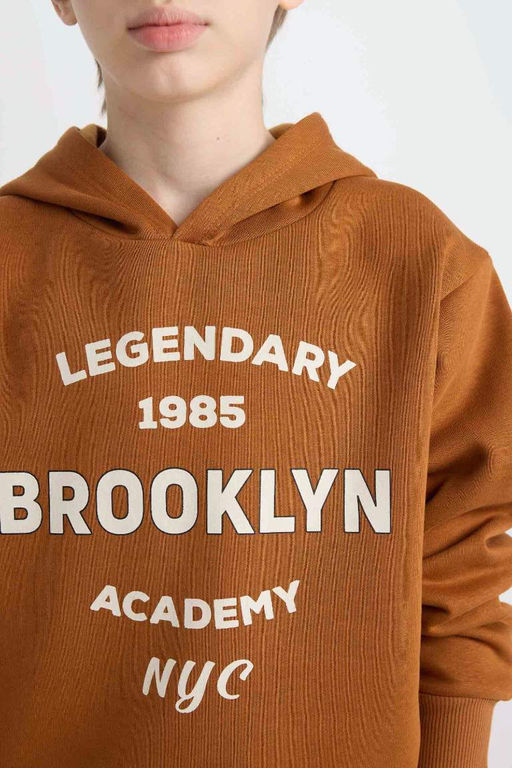 Толстовка из плотной ткани с капюшоном стандартной посадки для мальчиков - Defacto фото 5