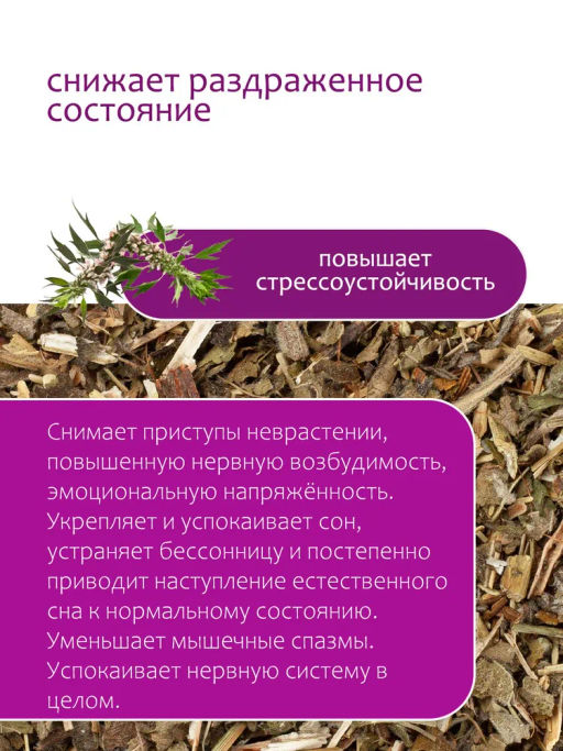 Пустырник - Травы горного крыма фото 3