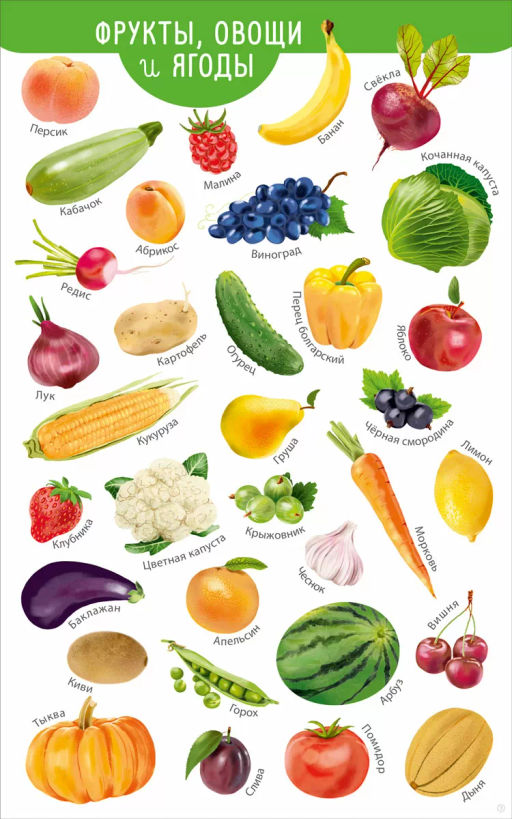 Мои первые развивающие плакаты - Робинс фото 6