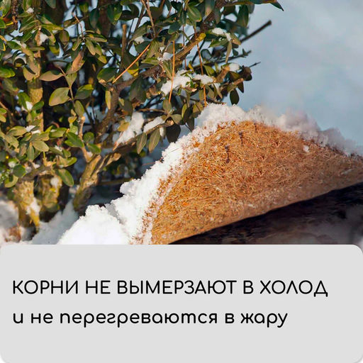 Круг приствольный, d=0.75 м, из кокосового полотна, набор 5 шт., «Мульчаграм»