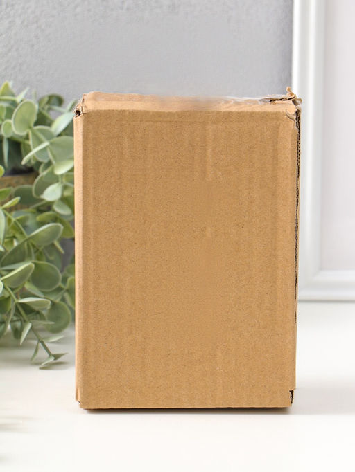 Сувенир полистоун "Гусь-морячок в бежевой рубашке" 14,5 см