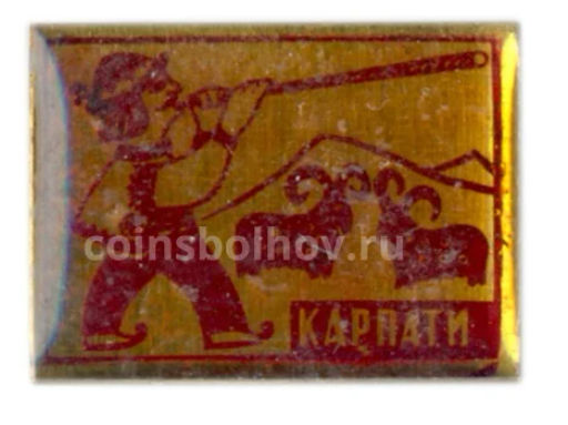 Значок Карпаты