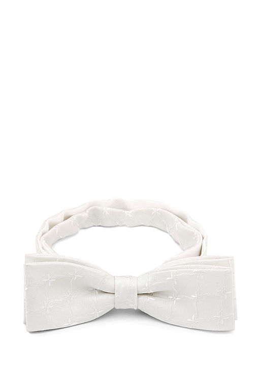 Галстук-бабочка мужской CASINO Casino-poly-wedding 512.1.423