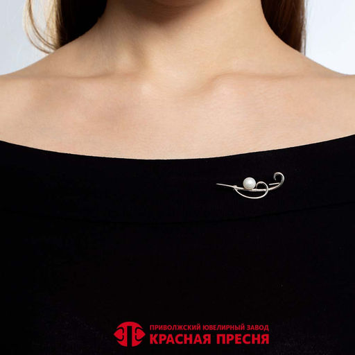 БРОШЬ 13315916Пл