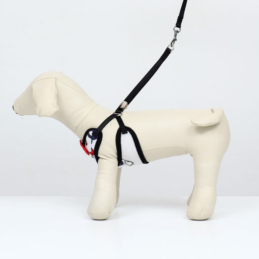 Комплект с мягкой шлейкой и бантиком Морской, размер S, поводок 120 x 1,5 см, ОГ 23-42 см 968377 - Пижон фото 2