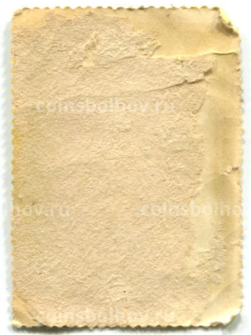 Марка Рубенс Портрет Камеристки 1623-1625 годы