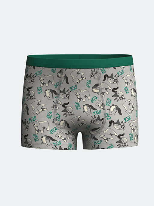 Bask?l? Erkek ?ocuk Boxer 3l? - Waikiki фото 2