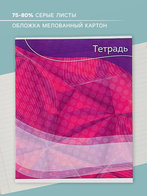 Цена за 10 шт. Тетрадь 48 листов в линейку, Calligrata Графика-2, серые листы, МИКС  фото 2