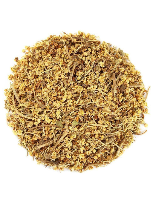 Бузина (цвет) - Травы горного крыма фото 8