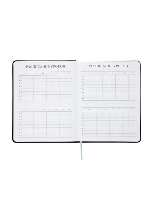 Дневник школьный «Рыцарь» 1-11 класс, ляссе, обложка искусственная кожа, чёрный