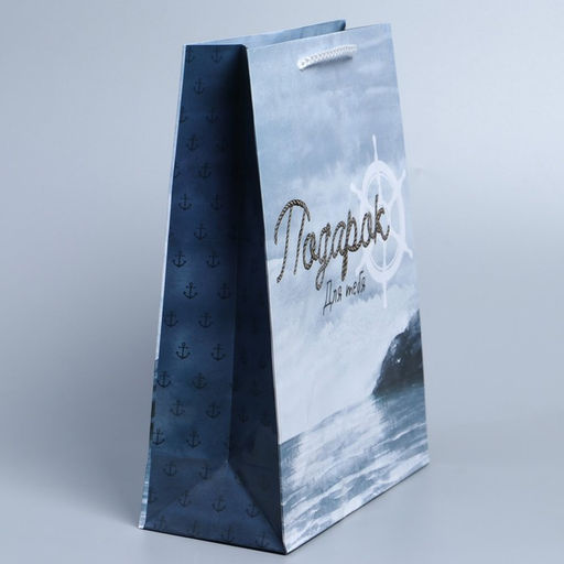 Цена за 2 шт. Пакет подарочный ламинированный, упаковка, Present for you, ML 21?25?8 см