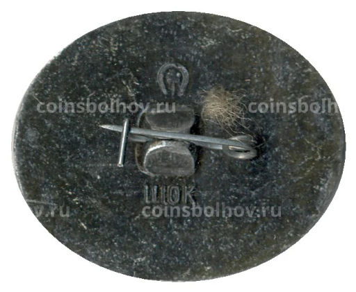 Значок Герои Крепости Брест