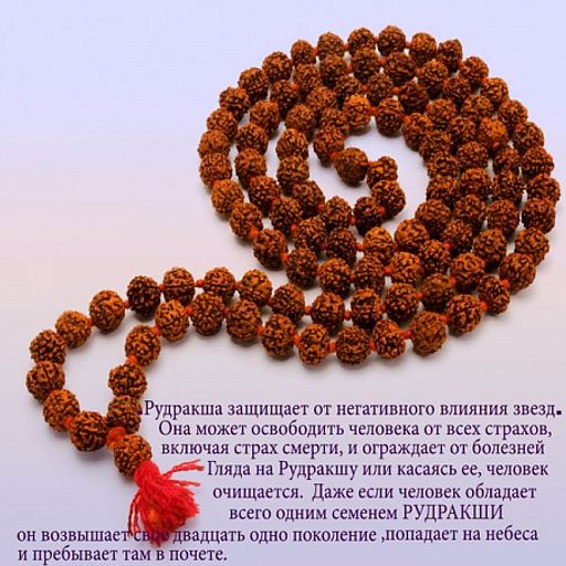 Четки из дерева 108 бусин Рудракша 8мм Слеза сострадания Бога Шивы Защита от смерти