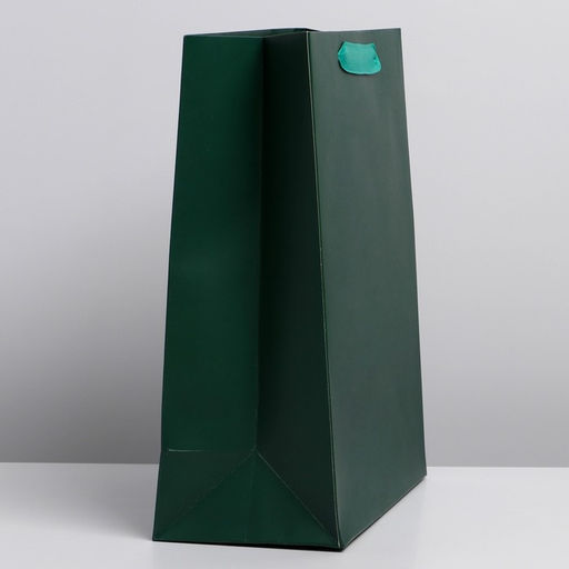 Пакет ламинированный Изумрудный, L 31 40 14 см - Дарите счастье фото 2