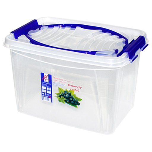 Контейнер для продуктов пластмассовый 9л, 31х21х20см, с ручкой, ручки-клипса (Россия)