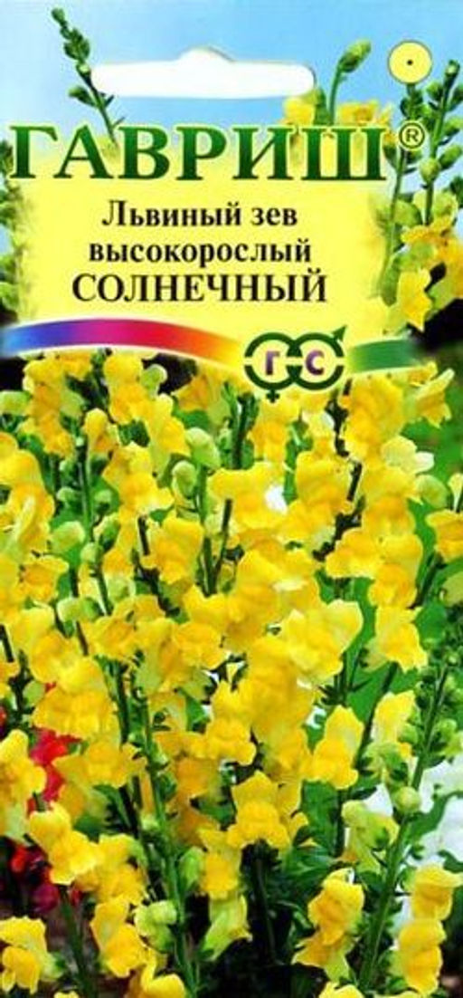 Солнечный львиный зев 80см 0,1гр (г)