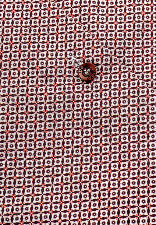 Сорочка мужская короткий рукав GREG 663/101/96012/Z/1_GB  фото 3