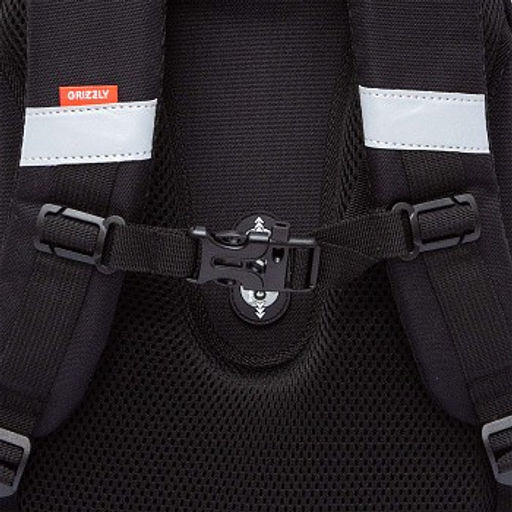 RAz-587-15 Рюкзак школьный - Grizzly фото 24