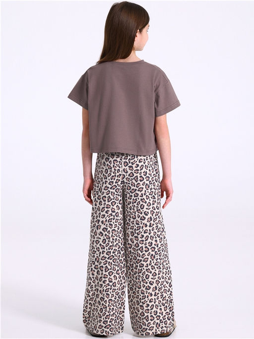 Футболка+брюки 2ДФБ5825001н