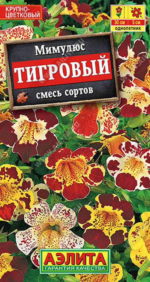 Мимулюс крупноцветковый тигровый, смесь сортов (2028)