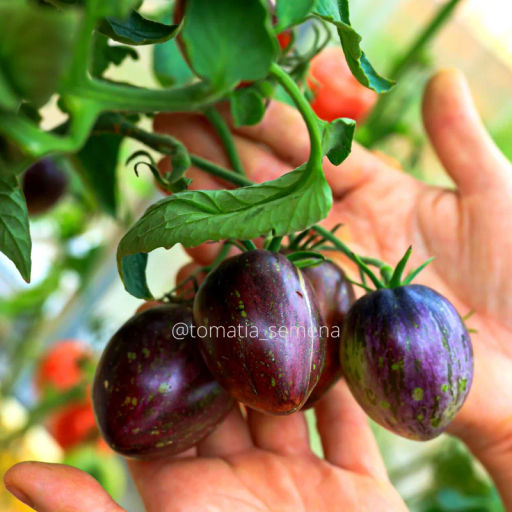 Дамасская сталь