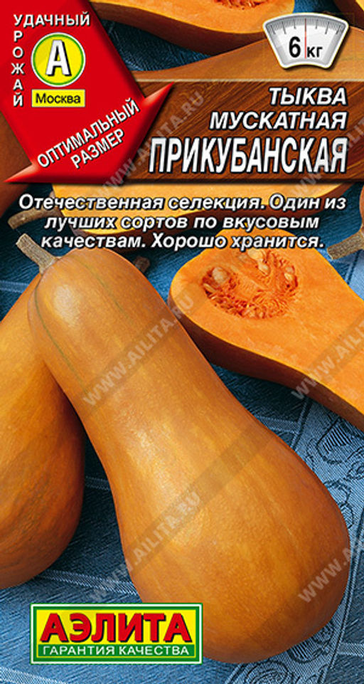 Тыква мускатная Прикубанская (2028)