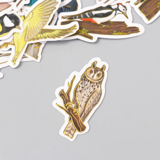 Наклейки для творчества Городские и лесные птицы тиснение золото набор 48 шт 9х7х0,8 см - Арт узор фото 3