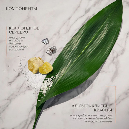 Дезодорант Белый мускус. Антиперспирант, 150мл. - Zeitun фото 4