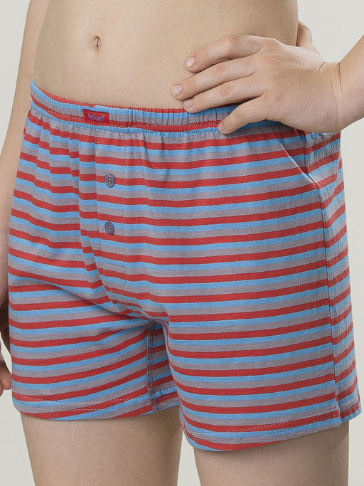 BUB4302(2шт. в упаковке) трусы для мальчиков - Pelican фото 4