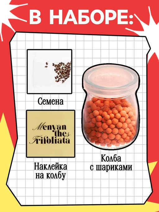 Набор для опытов Выращиваем травку своими руками, красный - Эврики фото 2