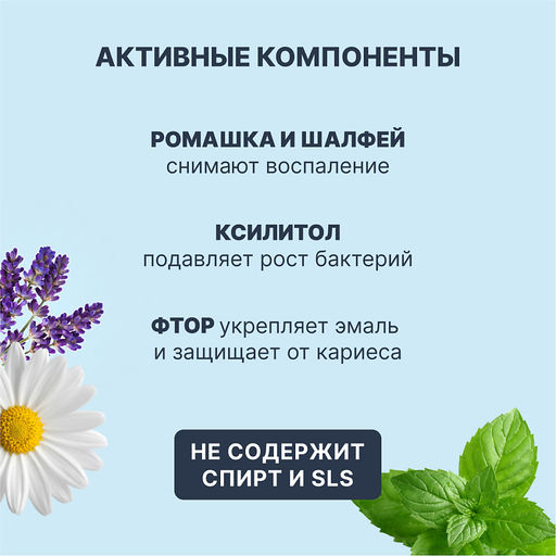 PresiDENT Ополаскиватель Classic Свежесть Трав 250мл флакон