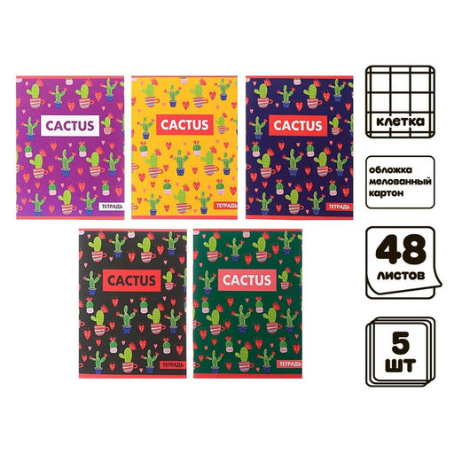 Комплект тетрадей из 5 шт Кактус, 48 листов, в клетку, обложка мелованный картон, блок офсет