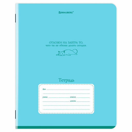 Тетрадь 24 л. BRAUBERG клетка, обложка картон Цена за 5шт.