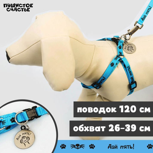 Комплект Дай пять!, шлейка 26-39 см, поводок 120х1 см, медальон