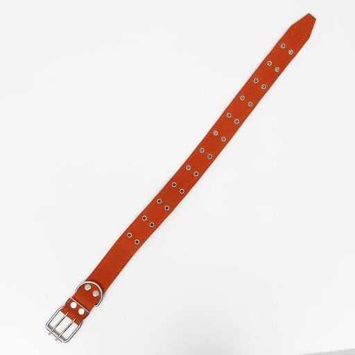 Ошейник кожаный на синтепоне, безразмерный, 83 х 4.5 см, ОШ 20-71 см, оранжевый - Пижон фото 3