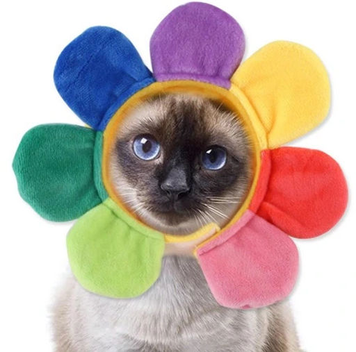 Шапка для собак и кошек "Ромашка", цвет как на фото, р ХL