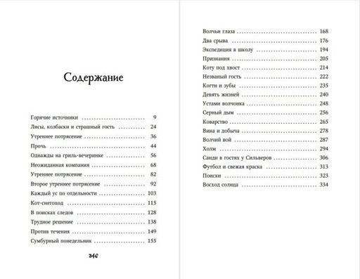 Тайна Холли (#3)