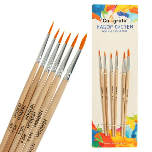 Набор кистей для рисования, нейлон, 6 штук: №1, 2, 3, 4, 5, 6, круглые, деревянная ручка, международный размер