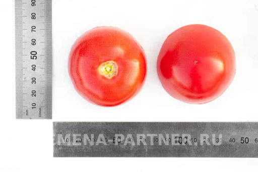 Томат Розовый Шар - Партнер фото 6