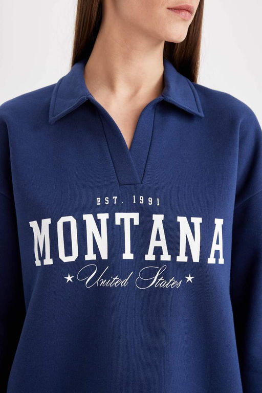 Толстая повседневная толстовка с принтом и вырезом поло Relax Fit - Defacto фото 5