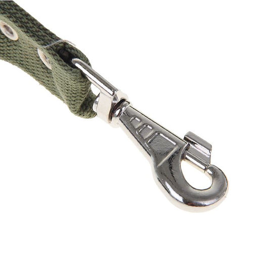 Поводок брезентовый 5 м х 3,5 см, тёмно-зелёный - Пижон фото 2