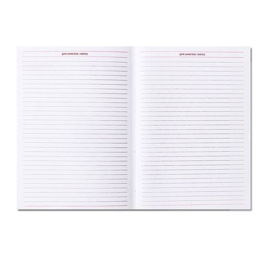 Ежедневник недатированный А5, 160 листов «Небраска», бордовый