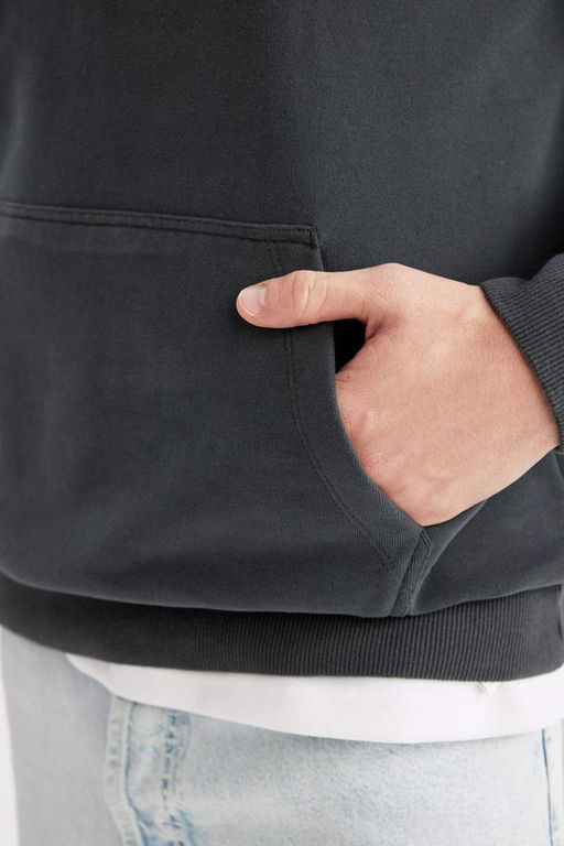 Базовая толстовка Comfort Fit с капюшоном - Defacto фото 9