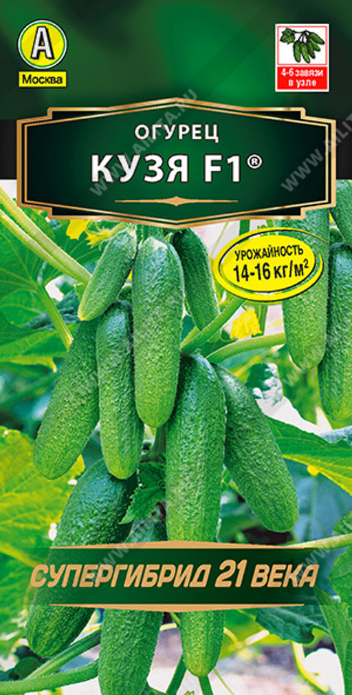 Огурец Кузя F1 --- ® Парт Золотая серия