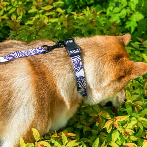 Поводок В гармонии с природой, 2.5 см, 2 м - Пушистое счастье фото 3