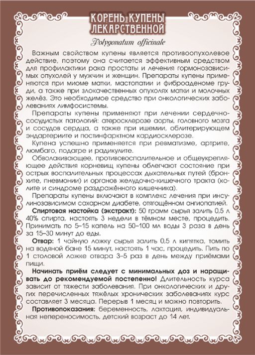Купена (корень) - Мариславна фото 3